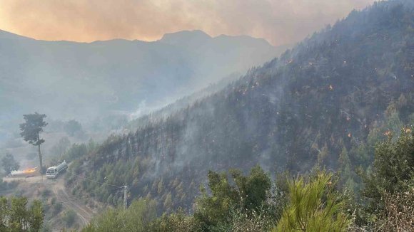 ALANYA’DAKİ YANGINA 95 ARAÇ VE 320 PERSONELLE MÜDEHALE EDİLİYOR