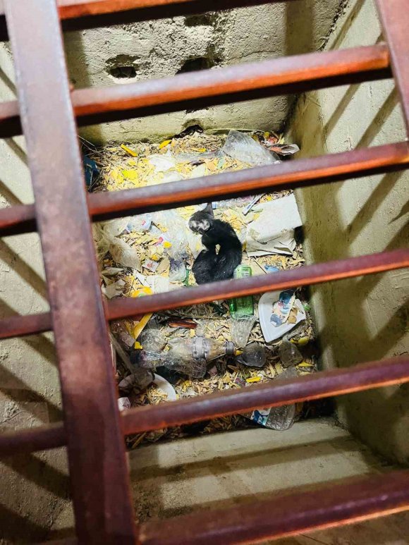MAZGALA DÜŞEN YAVRU KEDİYİ İTFAİYE KURTARDI