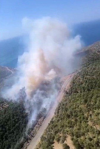 MERSİN’DE ORMAN YANGINI: EKİPLER HAVADAN VE KARADAN MÜDAHALE EDİYOR