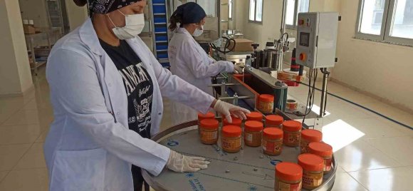 OSMANİYE YER FISTIĞINA KATMA DEĞER KATAN TESİS YÖRESEL LEZZETİ ULUSAL PAZARA TAŞIYOR