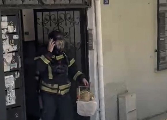MERSİN’DE YANGINDA MAHSUR KALAN CENNET PAPAĞANINI İTFAİYE KURTARDI