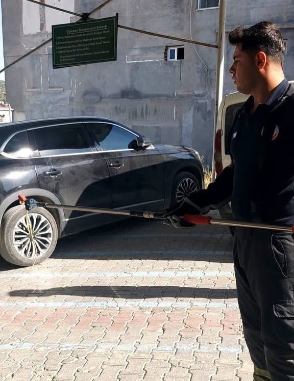 HATAY’DA YERLEŞİM ALANLARINA GİREN YILANLARI İTFAİYE YAKALADI