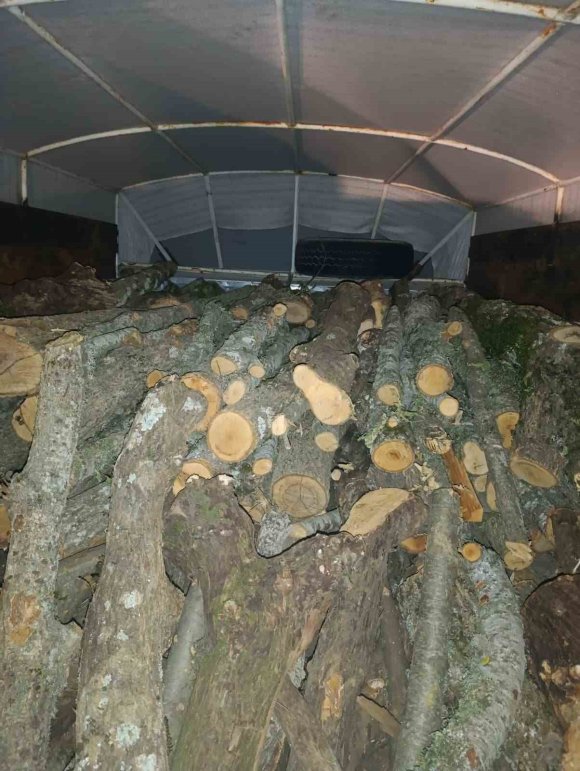 ANDIRIN’DA KAÇAK KESİLEN AĞAÇLARA EL KONULDU