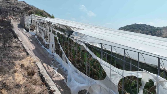 ALANYA VE GAZİPAŞALI YANGINZEDE ÜRETİCİLERE SERA NAYLONU DESTEĞİ