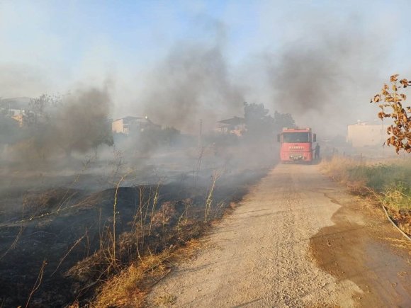 HASSA’DA ZEYTİNLİK YANGINI YAŞANDI