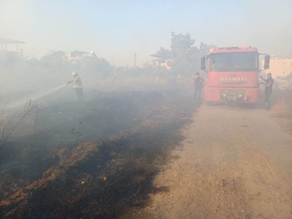 HASSA’DA ZEYTİNLİK YANGINI YAŞANDI