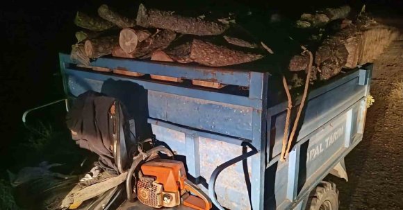 ANTAKYA’DA ORMANDA USULSÜZ KESİM YAPAN ŞAHISLAR YAKALANDI