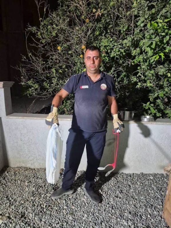 HATAY’DA EVE GİREN YILANLARI İTFAİYE YAKALADI