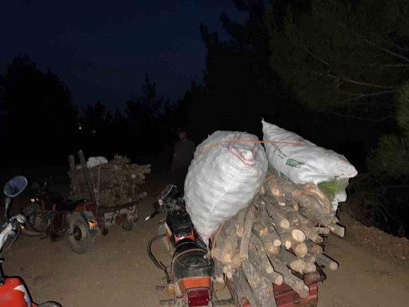 HASSA’DA ORMANDA USULSÜZ KESİM YAPAN ŞAHISLAR YAKALANDI