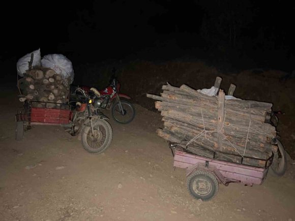 HASSA’DA ORMANDA USULSÜZ KESİM YAPAN ŞAHISLAR YAKALANDI