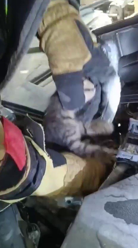 İTFAİYECİDEN KENDİNİ 1 SAAT UĞRAŞTIRAN YAVRU KEDİYE YÜREK ISITAN KARŞILAMA