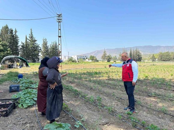 ANTAKYA’DA SEBZE ÜRETİCİSİYLE SAHADA İSTİŞARE EDİLDİ