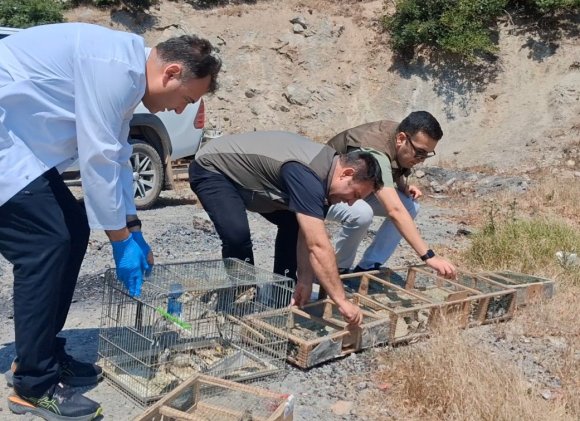 KAHRAMANMARAŞ’TA KAÇAK SAKA KUŞU AVINA OPERASYON: 175 KUŞ KURTARILDI