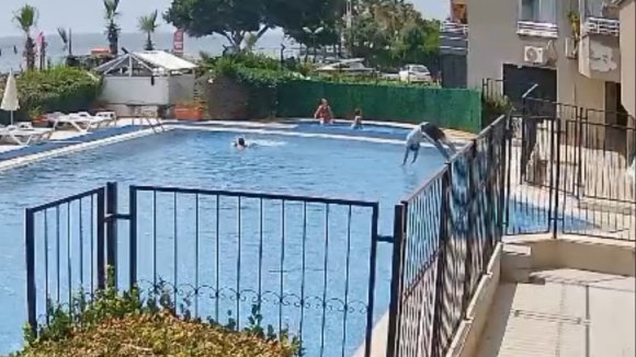 BOĞULMAK ÜZERE OLAN ÇOCUĞU HAVUZ GÖREVLİSİ KURTARDI