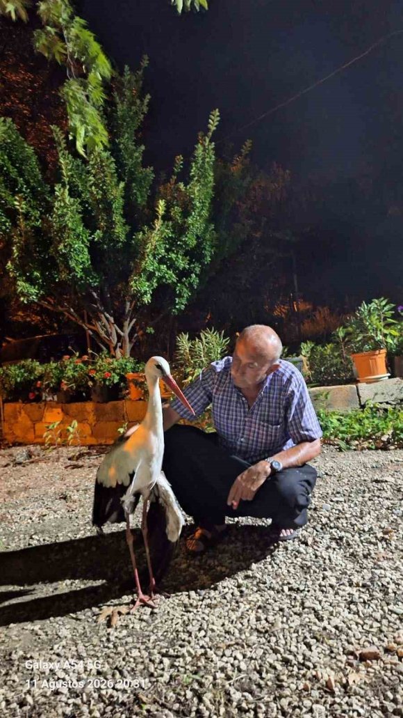 EVİNİN ÖNÜNE GELEN YARALI LEYLEĞE SAHİP ÇIKTI