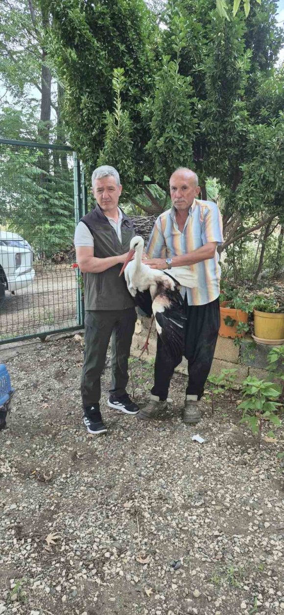EVİNİN ÖNÜNE GELEN YARALI LEYLEĞE SAHİP ÇIKTI