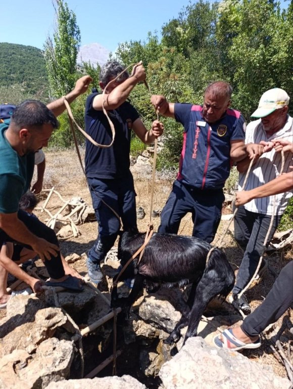 SU KUYUSUNA DÜŞEN KEÇİ İTFAİYENİN OPERASYONUYLA KURTARILDI