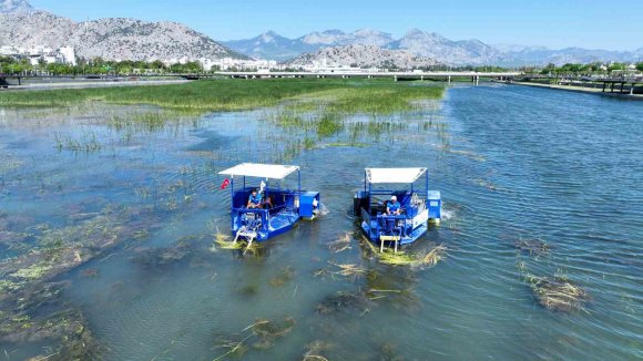 BOĞAÇAYI SUCUL OTLARLA KAPLANDI, "CARETTA" VE "MAVİ YENGEÇ" GÖREVE BAŞLADI