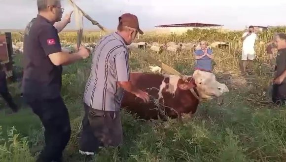 KUYUYA DÜŞEN İNEĞİ İTFAİYE KURTARDI, SAHİBİ EKİPLERE SARILIP GÖZYAŞI DÖKTÜ
