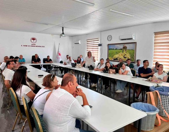 HATAY’DA TURUNÇGİLLERDE DOĞRU HASAT UYGULAMALARI ANLATILDI