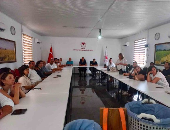 HATAY’DA TURUNÇGİLLERDE DOĞRU HASAT UYGULAMALARI ANLATILDI