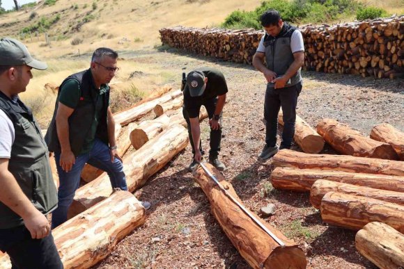 ANTAKYA’DA ORMAN SAHALARINDA STANDARDİZASYON VE ÜRETİM ÇALIŞMALARI İNCELENDİ