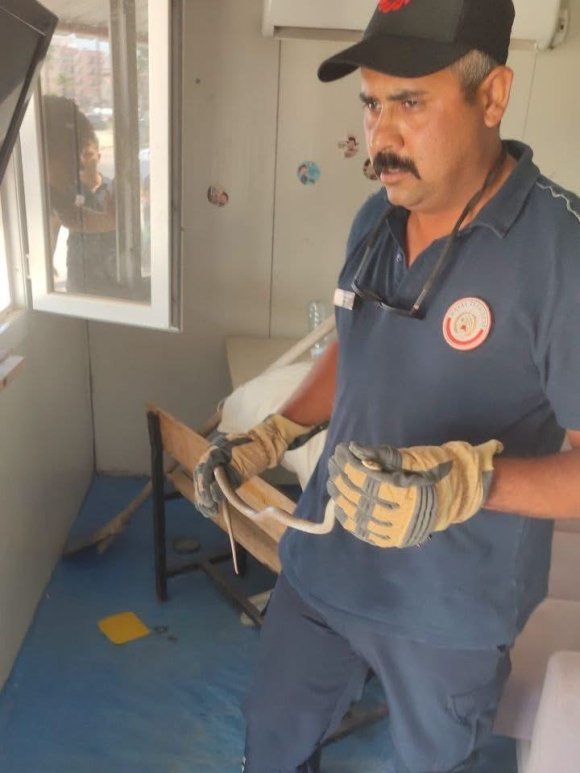 HATAY’DA YERLEŞİM YERLERİNE GİREN YILANLAR YAKALANDI