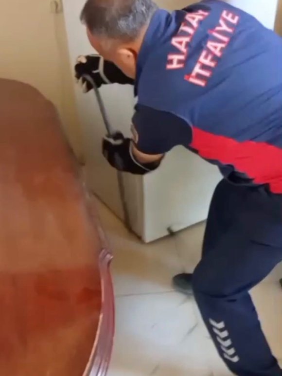 HATAY’DA YERLEŞİM YERLERİNE GİREN YILANLAR YAKALANDI