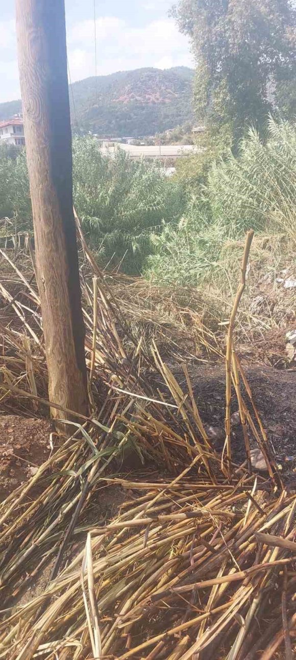 ALANYA’DA OTLUK ALANDA ÇIKAN YANGIN BÜYÜMEDEN SÖNDÜRÜLDÜ
