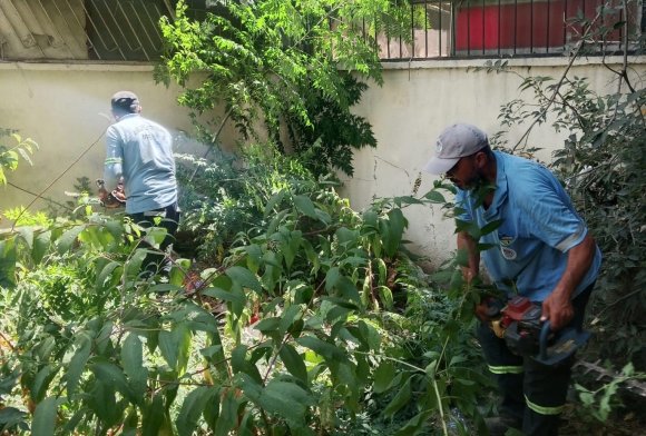 MERSİN’ DE PARK VE YEŞİL ALANLARDA BAKIM ÇALIŞMALARI SÜRÜYOR
