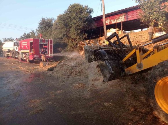 DEFNE’DE SAMANLIK YANGINI YAŞANDI