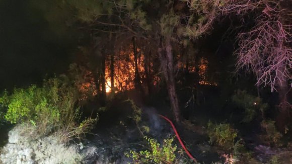 HATAY’DA ORMAN YANGINI KONTROL ALTINA ALINDI