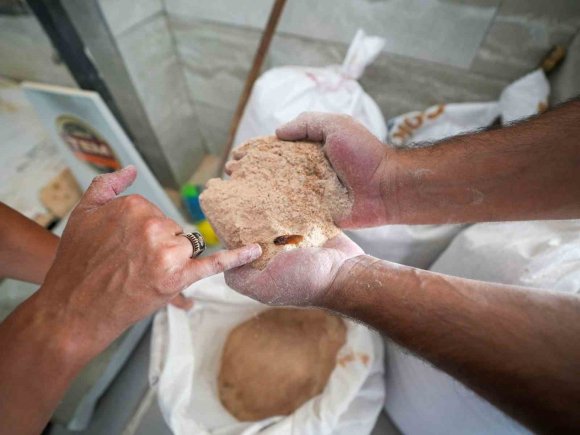 UN FABRİKASINDA ŞOKE EDEN GÖRÜNTÜ: 30 TON BÖCEKLENMİŞ BOZUK UN ELE GEÇİRİLDİ