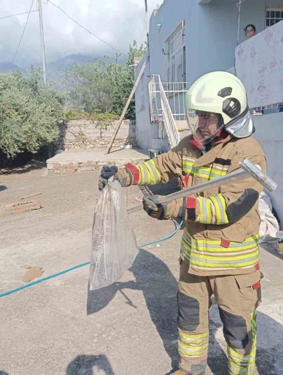 HATAY’DA YERLEŞİM ALANLARINDA YAKALANAN YILANLAR DOĞAYA BIRAKILDI