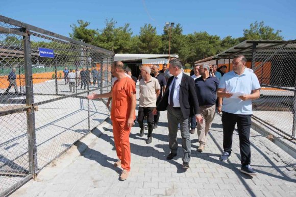DÖRTYOL’DA HAYVAN BAKIMEVİ SOKAK HAYVANLARININ SICAK YUVASI OLDU