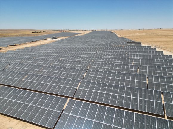 CW ENERJİ’DEN KARBON NÖTR HEDEFİNE DESTEK