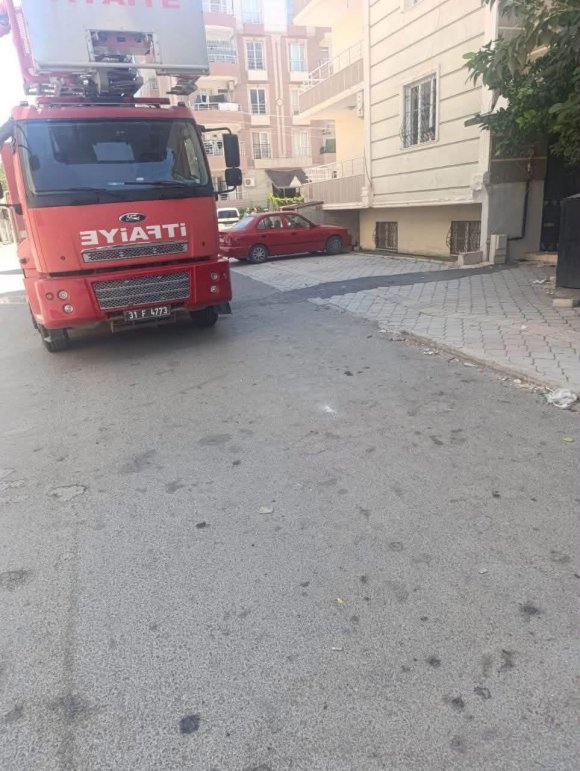 REYHANLI VE DEFNE’DE MAHSUR KALAN KEDİLER KURTARILDI