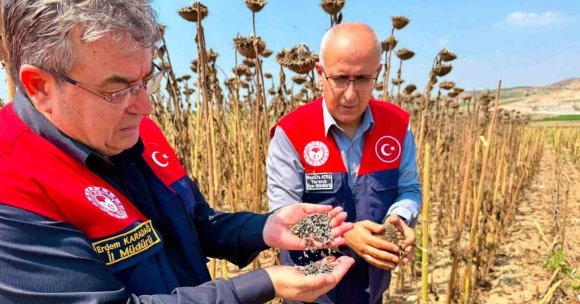 TARSUS’TA AYÇİÇEĞİNDE 4 BİN 485 TON REKOLTE BEKLENİYOR