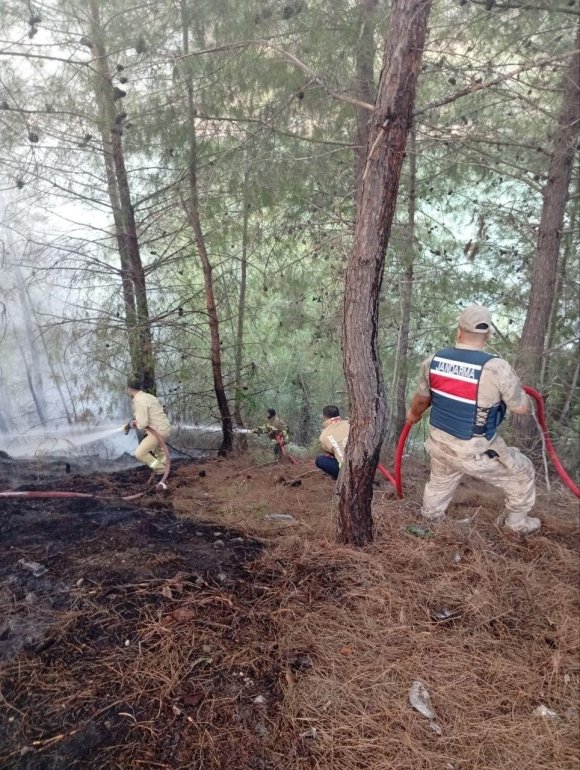 YAYLADAĞI’NDA ORMANLIK ALAN YANGINI KONTROL ALTINA ALINDI