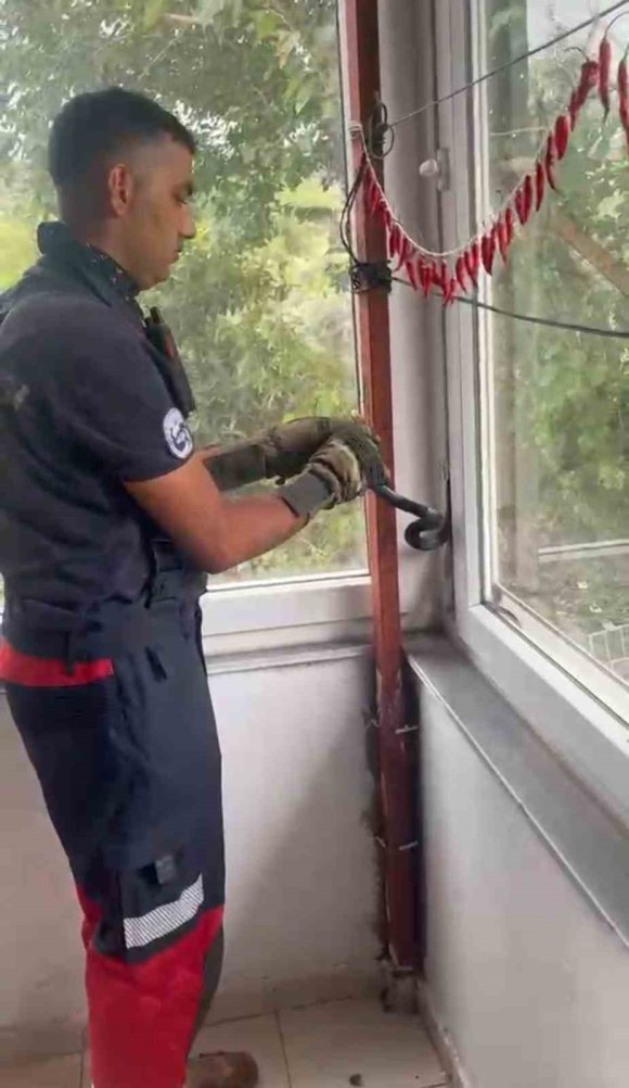 EVE GİREN YILAN PENCERE ARASINA SIKIŞTI