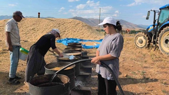 ÜNİVERSİTE ÖĞRENCİLERİ YAZ TATİLİNDE TARLADA AİLELERİNE DESTEK OLUYOR
