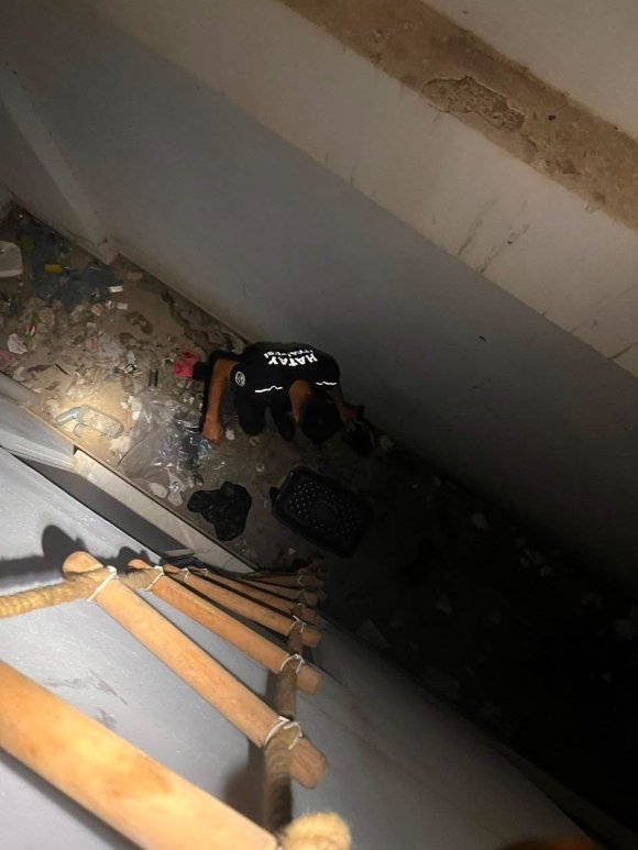 HATAY’DA MAHSUR KALAN HAYVANLAR KURTARILDI
