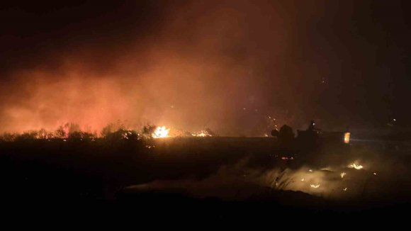 ANTALYA’DA OTLUK YANGINI 30 DÖNÜMLÜK ALANDA ETKİLİ OLDU