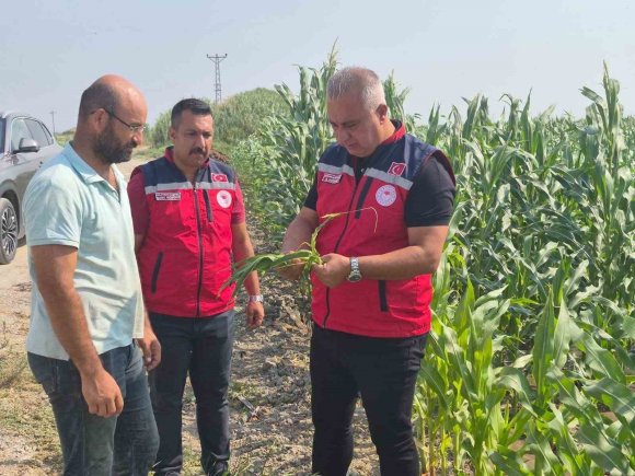 ANTAKYA’DA MISIR HASADI DEVAM EDİYOR