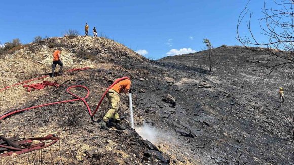 ALANYA’DA AĞAÇLIK ALANDA ÇIKAN YANGINDA 10 DÖNÜM ALAN VE SERA ZARAR GÖRDÜ