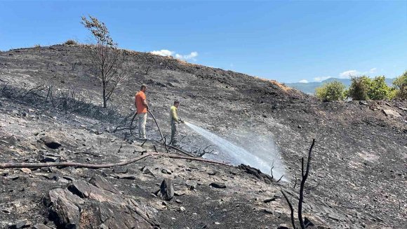 ALANYA’DA AĞAÇLIK ALANDA ÇIKAN YANGINDA 10 DÖNÜM ALAN VE SERA ZARAR GÖRDÜ