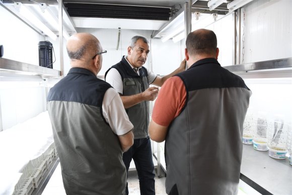 YEŞİL VATANIN SESSİZ KORUYUCULARI LABORATUVARDA YETİŞTİRİLİYOR