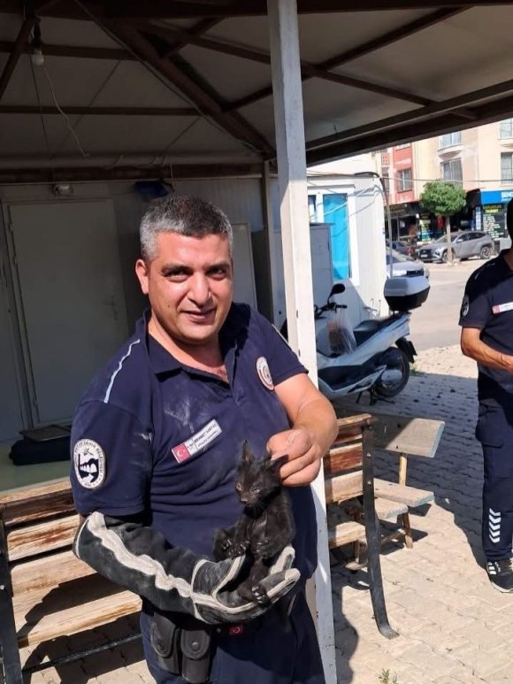 ANTAKYA VE İSKENDERUN’DA ARAÇLARDA MAHSUR KALAN KEDİLER KURTARILDI