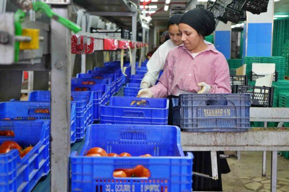 AĞUSTOS AYINDA DOMATES İŞLEM MİKTAR ENDEKSİ YÜZDE 56,70 AZALDI