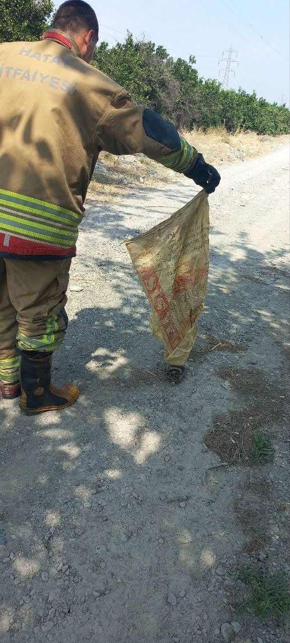 ERZİN’DE EVE GİREN YILAN YAKALANDI